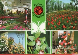 https://www.zlatakorunacz.cz/eshop/products_pictures/olomouc-flora-vnitrni-expozice-1678125632.jpg