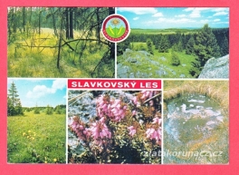 https://www.zlatakorunacz.cz/eshop/products_pictures/slavkovsky-les-1415182585.jpg