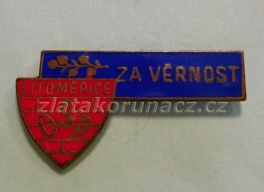 https://www.zlatakorunacz.cz/eshop/products_pictures/za-vernost-litomerice-1683713591.jpg