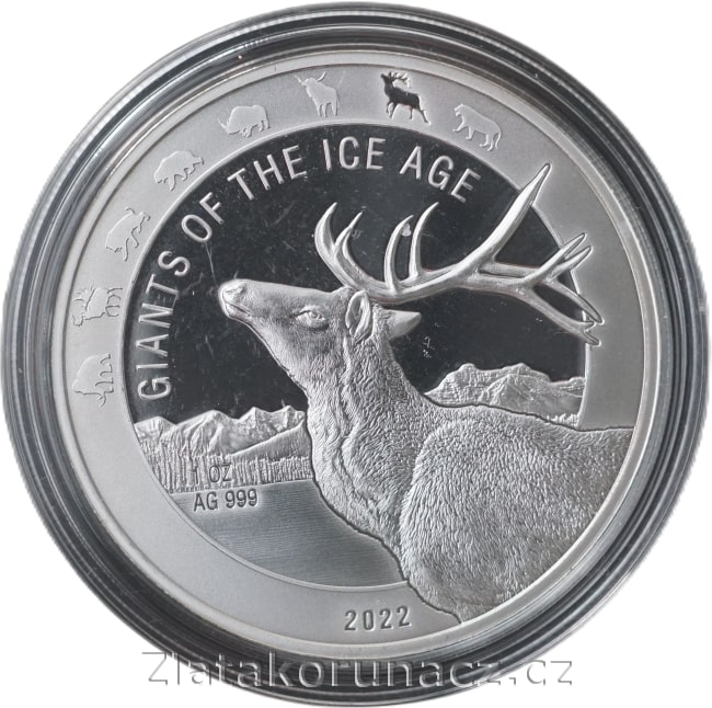 Ghana - 5 cedis 2022 - 1 oz Giants of the Ice Age 7. Sob