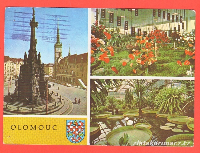 Olomouc-Náměstí,Flora