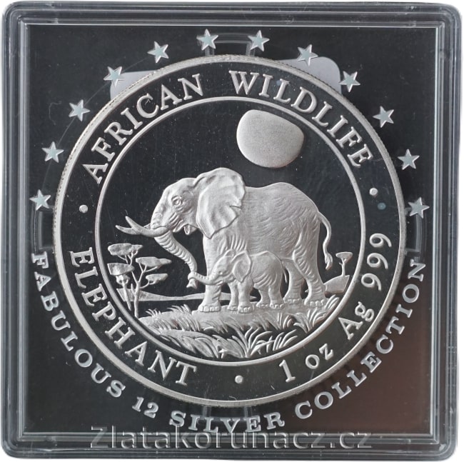 Somálsko - 100 shillings 2011 - 1 oz African Wildlife Slon