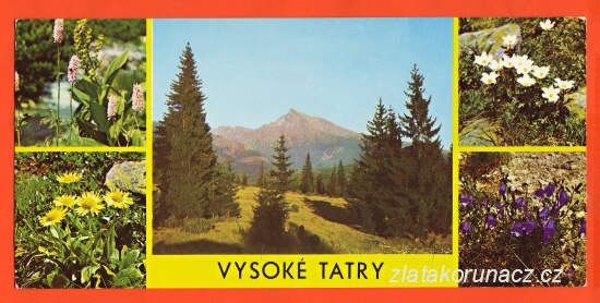 Vysoké Tatry - Kriváň, Květiny 