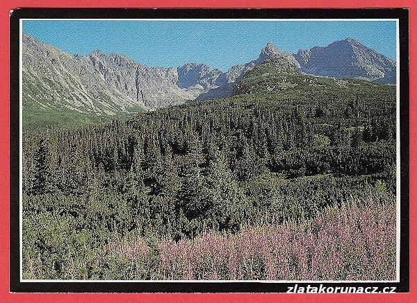 Vysoké Tatry - Vrchy,lesy